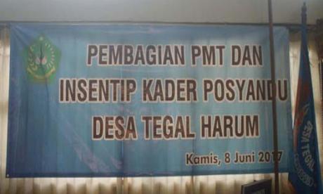 Pembagian PMT Dan Insentif Kader Posyandu Desa Tegal Harum