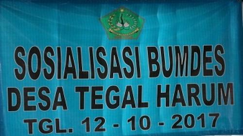 Sosialisasi BUMDES Desa Tegal Harum