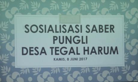 Sosialisasi Saber Pungli Desa Tegal Harum