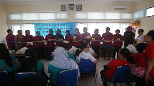 Workshop Posyandu, Penyerahan PMT, Insentif Kader Se-Desa