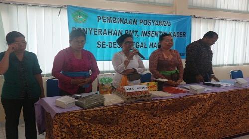 Workshop Posyandu, Penyerahan PMT, Insentif Kader Se-Desa