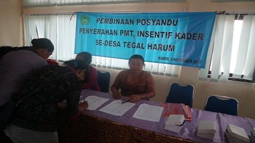 Workshop Posyandu, Penyerahan PMT, Insentif Kader Se-Desa